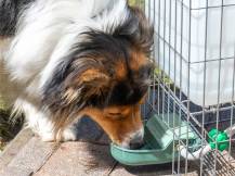 Obrázek k výrobku 125715 - Plováková napáječka s barelem GAUN 71085 - 10 l