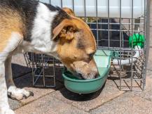 Obrázek k výrobku 125716 - Plováková napáječka s barelem GAUN 71090 - 20 l