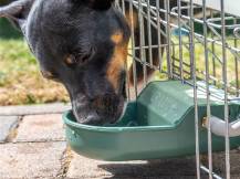 Obrázek k výrobku 125716 - Plováková napáječka s barelem GAUN 71090 - 20 l