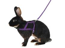 Obrázek k výrobku 125732 - Postroj a vodítko pro králíka pro agility KERBL 81760 - vel. M, 200 cm