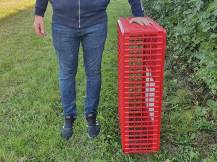 Obrázek k výrobku 125761 - Přepravní box na živou drůbež CRATE MOD A1 - 95,5x57x27,5cm