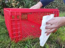 Obrázek k výrobku 125763 - Přepravní box na živou drůbež CRATE MOD B2 - 95,5x57x32,5cm