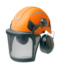 Obrázek k výrobku 62817 - Profesionální ochranná helma