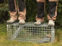 Obrázek k výrobku 125737 - Profesionální past na kuny a kočky  TRAP H80x34x34