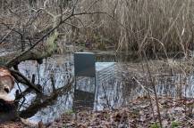 Obrázek k výrobku 125738 - Profesionální past na lišky, kuny a kočky TRAP ST102x34x34