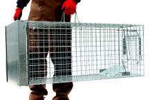 Obrázek k výrobku 125739 - Profesionální past na lišky, kuny a kočky TRAP ST105x34x42