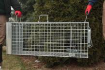 Obrázek k výrobku 125739 - Profesionální past na lišky, kuny a kočky TRAP ST105x34x42