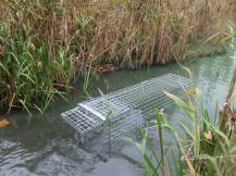 Obrázek k výrobku 125740 - Profesionální past na lišky, kuny, vydry a kočky TRAP H120x34x42