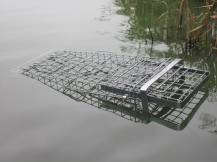 Obrázek k výrobku 125740 - Profesionální past na lišky, kuny, vydry a kočky TRAP H120x34x42