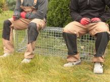 Obrázek k výrobku 125740 - Profesionální past na lišky, kuny, vydry a kočky TRAP H120x34x42