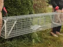 Obrázek k výrobku 120903 - Profesionální past na lišky, kuny, vydry a kočky TRAP H150x34x34V2