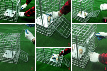 Obrázek k výrobku 125742 - Profesionální past na lišky, kuny, vydry a kočky TRAP ST118x34x34V1