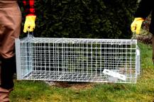 Obrázek k výrobku 125742 - Profesionální past na lišky, kuny, vydry a kočky TRAP ST118x34x34V1