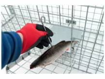 Obrázek k výrobku 120365 - Profesionální past na lišky, kuny, vydry a kočky TRAP ST118x34x34V2