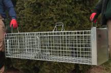 Obrázek k výrobku 125743 - Profesionální past na lišky, kuny, vydry a kočky TRAP ST130x34x34K