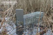 Obrázek k výrobku 125743 - Profesionální past na lišky, kuny, vydry a kočky TRAP ST130x34x34K
