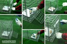 Obrázek k výrobku 125743 - Profesionální past na lišky, kuny, vydry a kočky TRAP ST130x34x34K