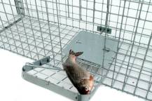 Obrázek k výrobku 125744 - Profesionální past na lišky, kuny, vydry a kočky TRAP ST130x34x34V2