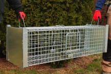 Obrázek k výrobku 125744 - Profesionální past na lišky, kuny, vydry a kočky TRAP ST130x34x34V2
