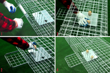 Obrázek k výrobku 125744 - Profesionální past na lišky, kuny, vydry a kočky TRAP ST130x34x34V2