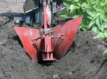 Proorávání brambor