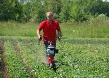 Proorávání brambor