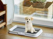 Obrázek k výrobku 87428 - Psí záchod STEFANPLAST PUPPY, 60x40cm