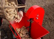 Sazeč brambor SB-40 při práci