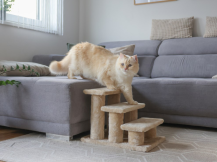 Obrázek k výrobku 126217 - Schůdky pro psy a kočky KERBL EASY CLIMB 2.0, béžová, 45x35x34 cm