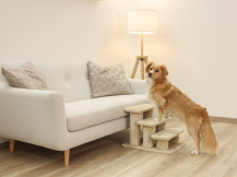 Obrázek k výrobku 126217 - Schůdky pro psy a kočky KERBL EASY CLIMB 2.0, béžová, 45x35x34 cm