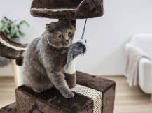 Obrázek k výrobku 125874 - Škrabadlo pro kočky KERBL 81589 SAFARI BIG, 122x60x36 cm