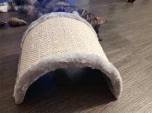 Obrázek k výrobku 125878 - Škrabadlo pro kočky KERBL 81624 HALF MOON, 26x22x11cm