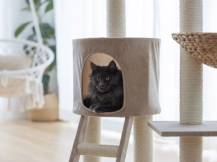 Obrázek k výrobku 125883 - Škrabadlo pro kočky KERBL 84438 BANANA LEAF WAXY, 104x60x40 cm