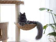 Obrázek k výrobku 125883 - Škrabadlo pro kočky KERBL 84438 BANANA LEAF WAXY, 104x60x40 cm