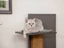 Obrázek k výrobku 125889 - Škrabadlo pro kočky z EKO plastu KERBL 84455 ALEX, 152x42x42 cm