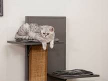 Obrázek k výrobku 125889 - Škrabadlo pro kočky z EKO plastu KERBL 84455 ALEX, 152x42x42 cm