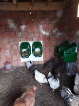 Obrázek k výrobku 125837 - Snáškové hnízdo pro slepice HF 46X37X37