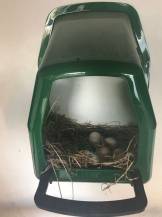 Obrázek k výrobku 125837 - Snáškové hnízdo pro slepice HF 46X37X37