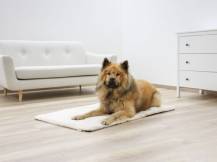 Obrázek k výrobku 125910 - Termodeka pro psy a kočky KERBL 80377 THEO, 120x75 cm