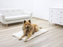 Obrázek k výrobku 125910 - Termodeka pro psy a kočky KERBL 80377 THEO, 120x75 cm