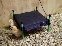 Obrázek k výrobku 125959 - Umělá kvočna s termostatem KERBL 70420 COSYHEAT, 30x30cm, 25W