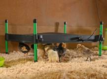 Obrázek k výrobku 125960 - Umělá kvočna s termostatem KERBL 70421 COSYHEAT, 40x50cm, 50W