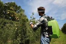 Obrázek k výrobku 69434 - VERDEMAX AKU postř. FUTURA 16