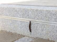 Obrázek k výrobku 125969 - Vodivá páska k ohradníku KERBL 291128 SNAILSTOP, 10m