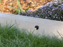 Obrázek k výrobku 125970 - Vodivá páska k ohradníku KERBL 291129 SNAILSTOP, 20m