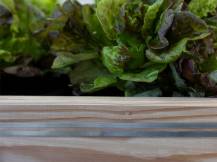 Obrázek k výrobku 125970 - Vodivá páska k ohradníku KERBL 291129 SNAILSTOP, 20m