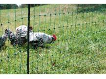 Obrázek k výrobku 125971 - Vodivá síť pro drůbež KERBL 292272, 106 cm x 50 m / 2 hroty