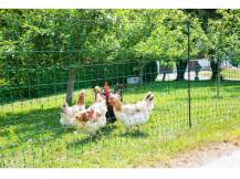 Obrázek k výrobku 125972 - Vodivá síť pro drůbež KERBL 292273, 106 cm x 25 m / 2 hroty