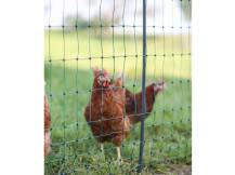 Obrázek k výrobku 125974 - Vodivá síť pro drůbež KERBL 292413 PREMIUM, 122 cm x 50 m / 2 hroty
