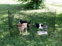 Obrázek k výrobku 125994 - Výběh pro drůbež, králíky a štěňata osmistěnný KERBL 81715, 57x78 cm